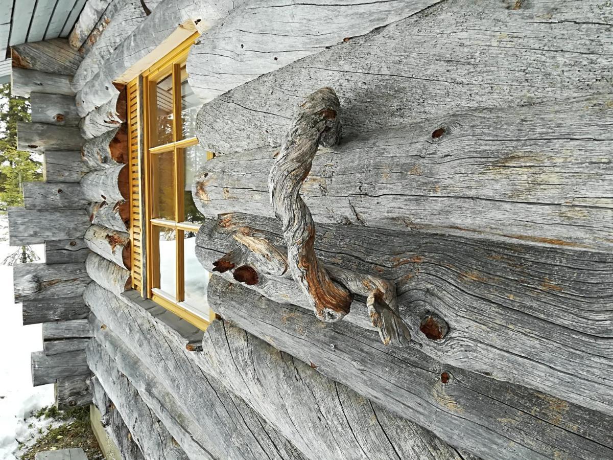 Logwood Chalet ルオスト エクステリア 写真