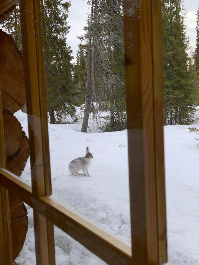 Logwood Chalet ルオスト エクステリア 写真
