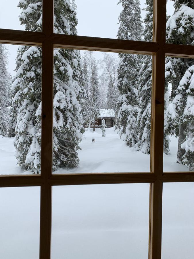 Logwood Chalet ルオスト エクステリア 写真