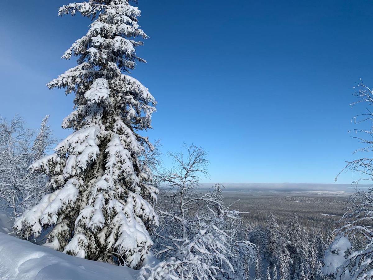 Logwood Chalet ルオスト エクステリア 写真